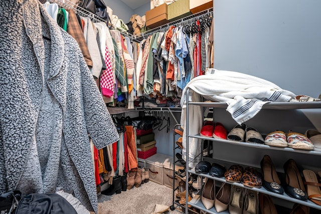 walk in closet with carpet flooring