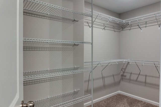 spacious closet with carpet flooring