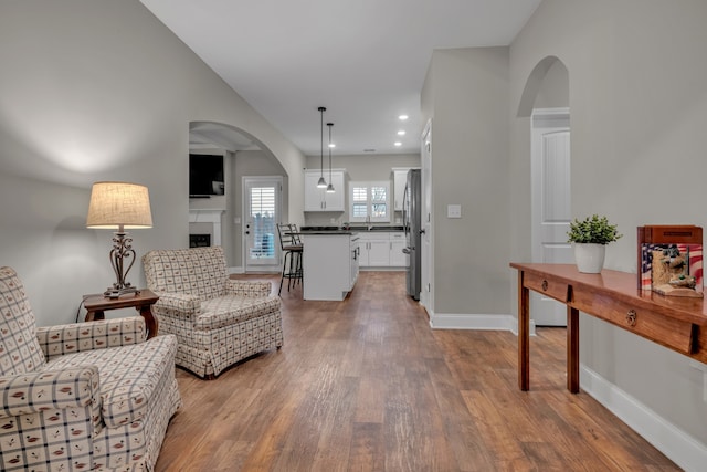 living room featuring wood-type flooring