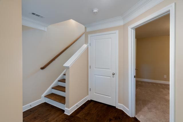 stairs featuring ornamental molding and carpet floors