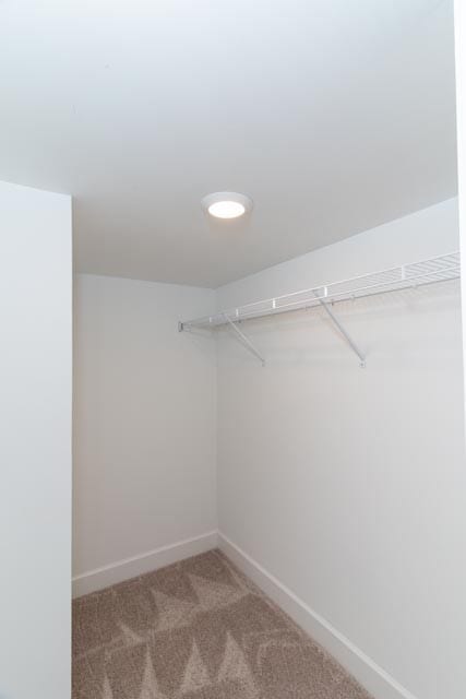 walk in closet with carpet