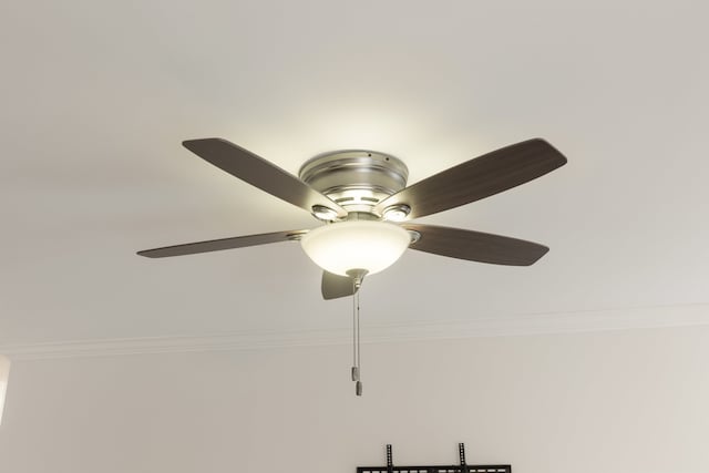 interior details featuring ornamental molding and ceiling fan