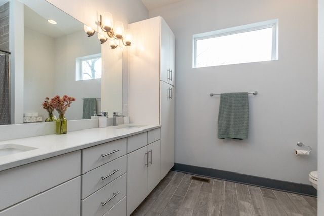 bathroom featuring toilet, vanity, and wood-type flooring