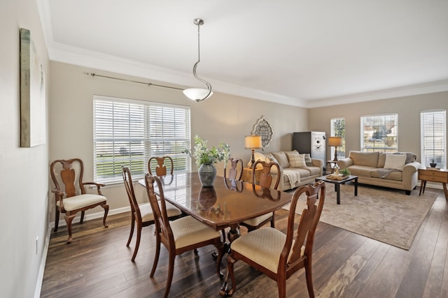 dining room with crown molding and dark wood-type flooring