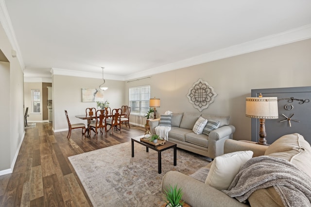 living room featuring dark hardwood / wood-style floors and ornamental molding