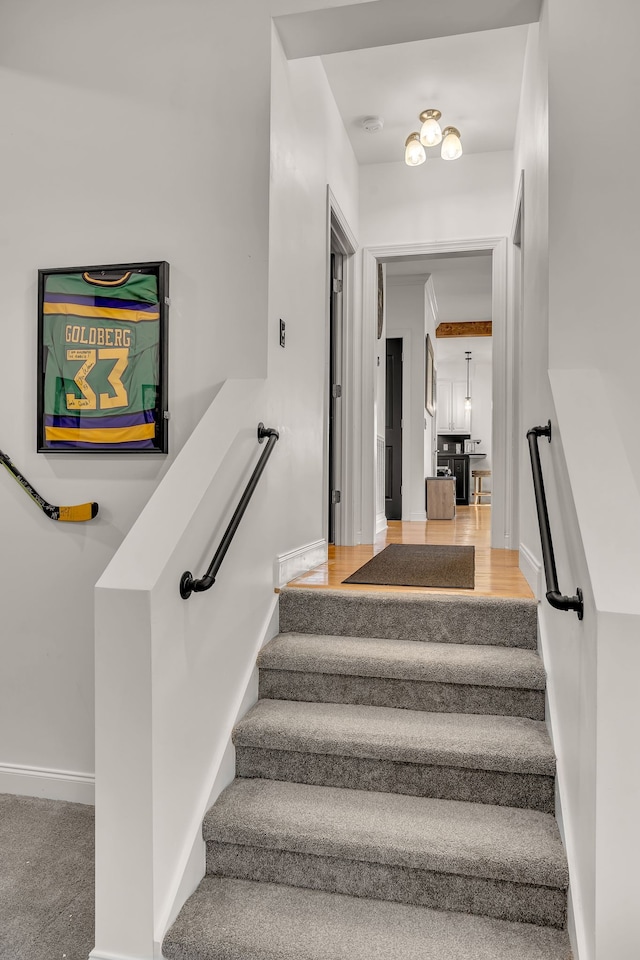 staircase featuring wood-type flooring