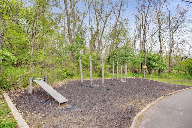 view of jungle gym