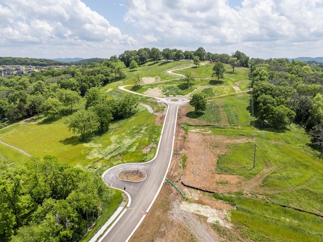 9227 Old Smyrna Rd, Brentwood, TN 37027 - photo 2