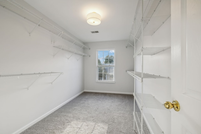 walk in closet with carpet floors