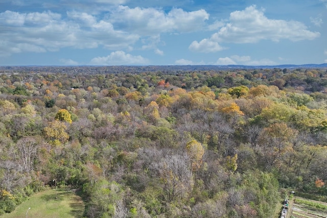 291 Haywood Ln, Nashville, TN 37211 - photo 4