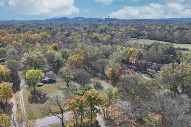 291 Haywood Ln, Nashville, TN 37211 - photo 6