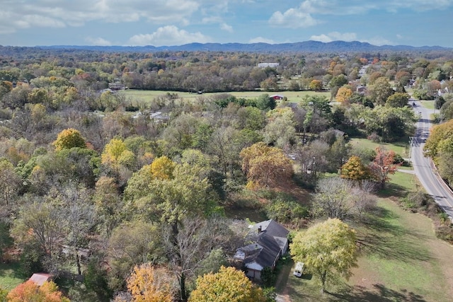 291 Haywood Ln, Nashville, TN 37211 - photo 3