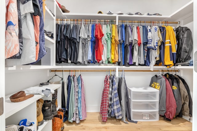 spacious closet featuring wood-type flooring