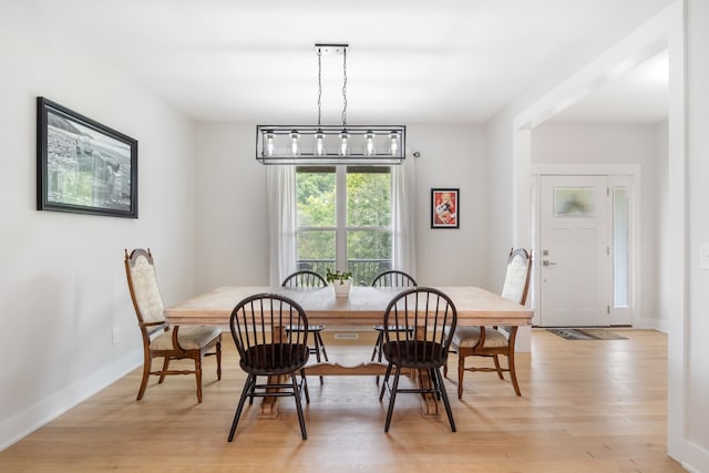 dining room with light hardwood / wood-style flooring