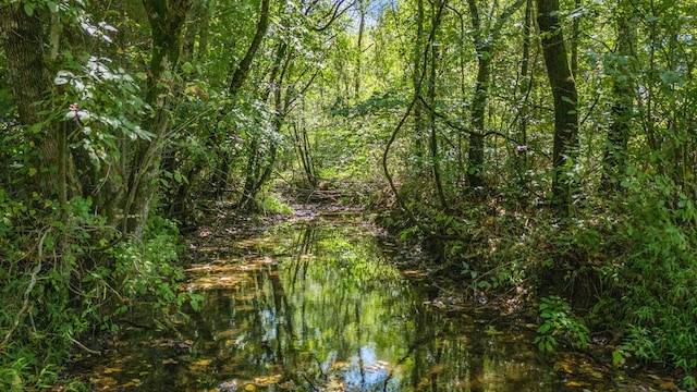 view of local wilderness with a water view