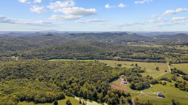 bird's eye view with a mountain view