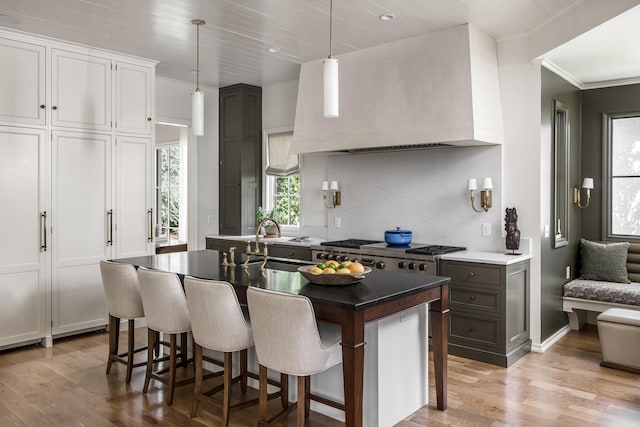 kitchen with white cabinetry, a wealth of natural light, and light hardwood / wood-style floors