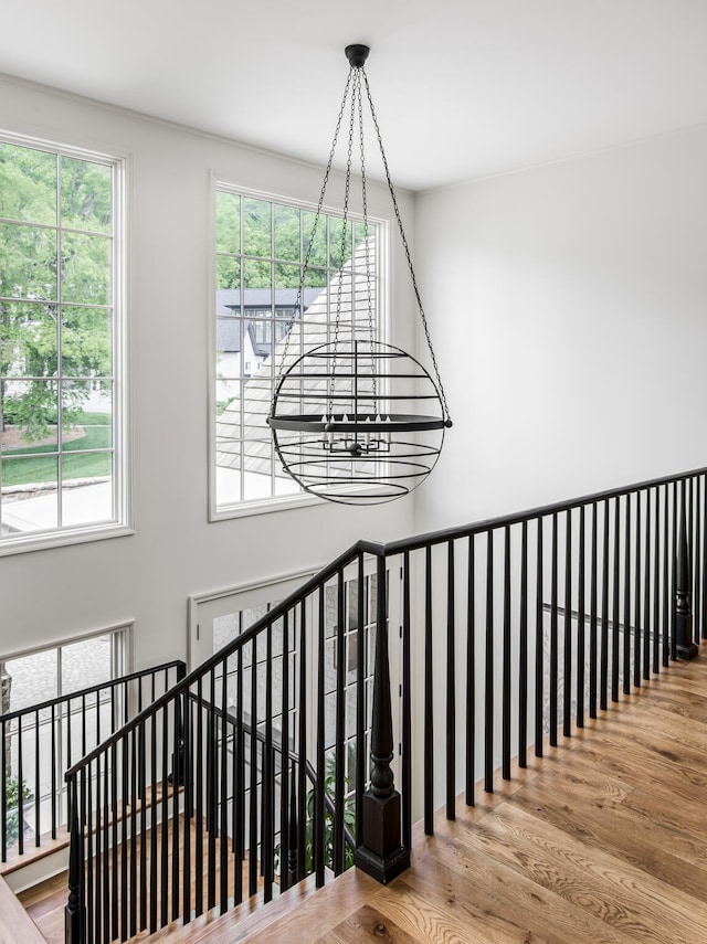 stairway featuring wood-type flooring and a healthy amount of sunlight