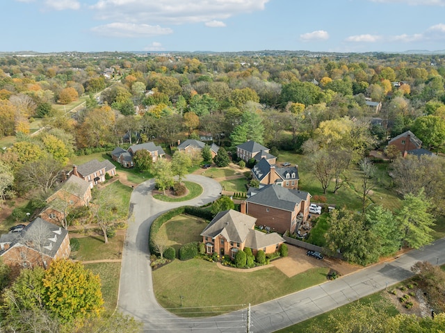 bird's eye view