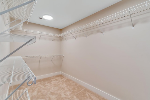 spacious closet with carpet flooring