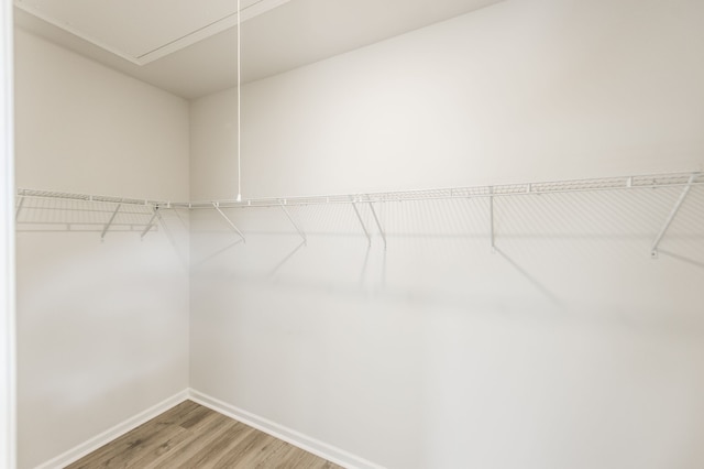 walk in closet featuring hardwood / wood-style flooring