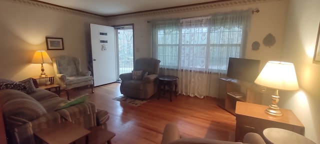 living room featuring hardwood / wood-style flooring and a healthy amount of sunlight