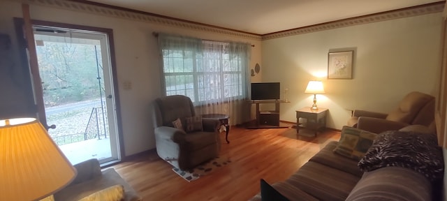 living area featuring wood-type flooring and ornamental molding