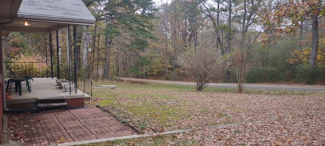 view of yard featuring a patio