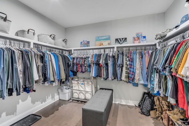 spacious closet featuring wood-type flooring