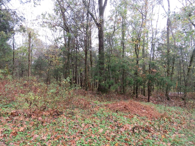 0 Hilltop Ln, Gainesboro, TN 38562 - photo 4