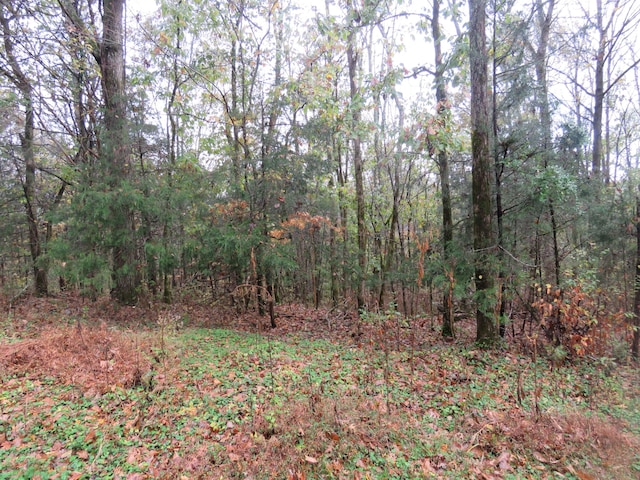 0 Hilltop Ln, Gainesboro, TN 38562