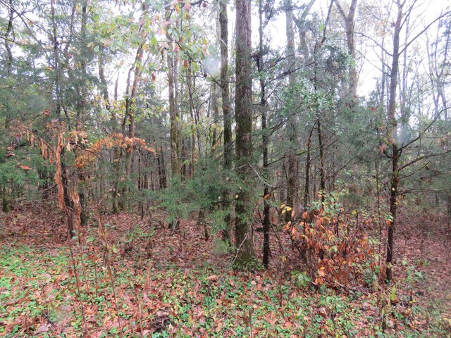 0 Hilltop Ln, Gainesboro, TN 38562 - photo 3