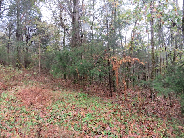 Listing photo 2 for 0 Hilltop Ln, Gainesboro TN 38562