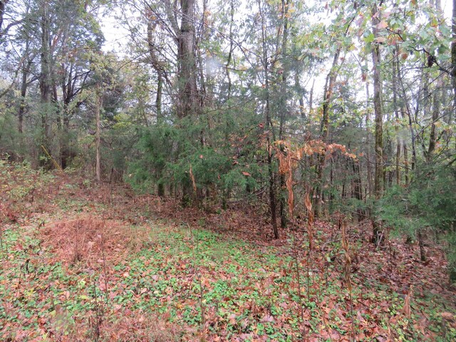 0 Hilltop Ln, Gainesboro, TN 38562 - photo 2
