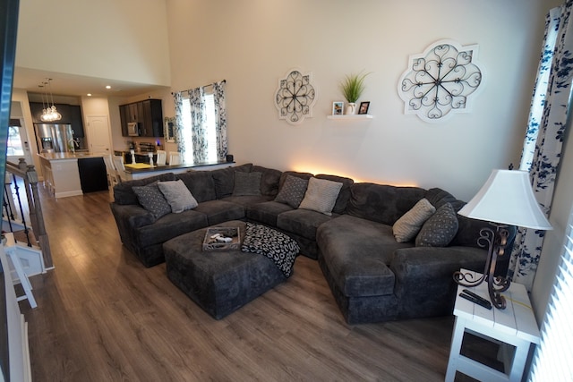 living room featuring dark hardwood / wood-style flooring and a high ceiling