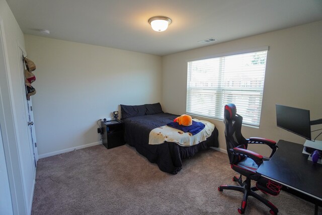 carpeted bedroom featuring multiple windows