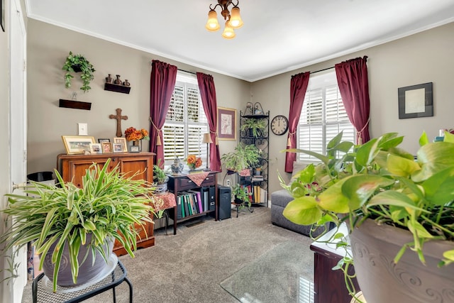 recreation room with a wealth of natural light, carpet floors, and crown molding