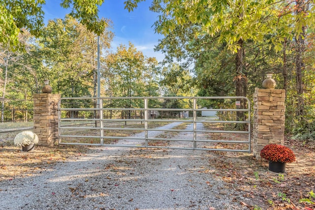 187 Th Hooper Ln, Mc Ewen, TN 37101 - view of gate