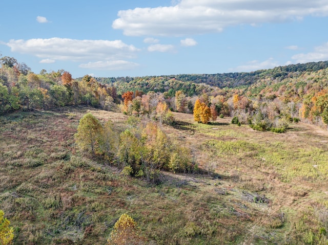 property view of mountains