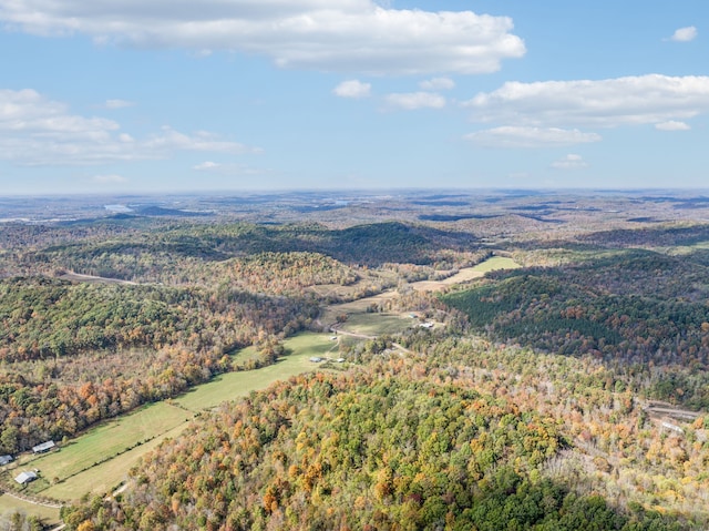 aerial view with a mountain view