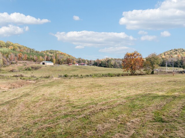 view of yard featuring a mountain view and a rural view