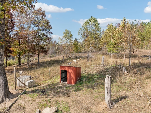 view of yard with a rural view