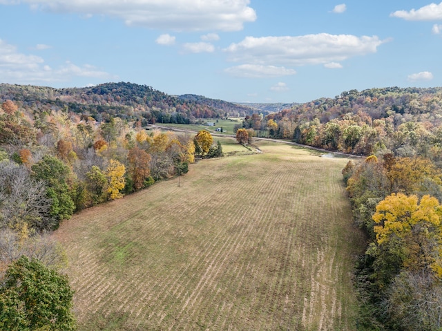 birds eye view of property with a rural view