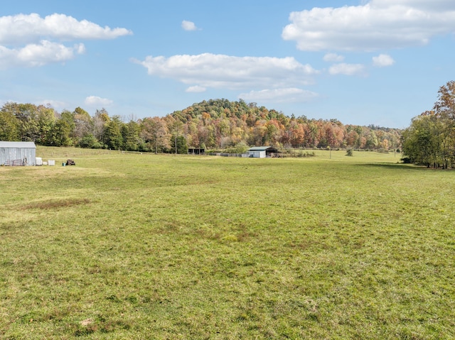 view of yard with a rural view