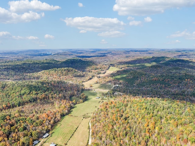 bird's eye view