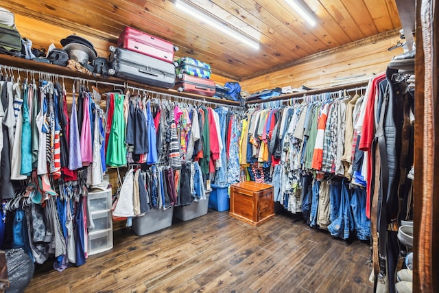 spacious closet featuring wood-type flooring