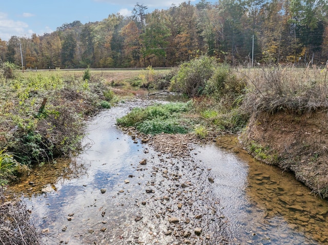 view of local wilderness