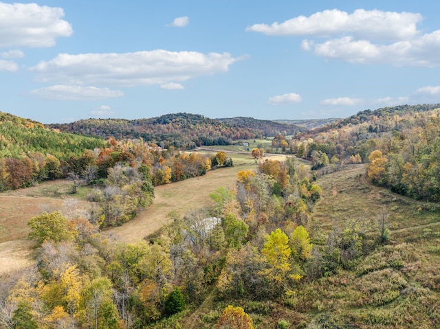 view of mountain feature