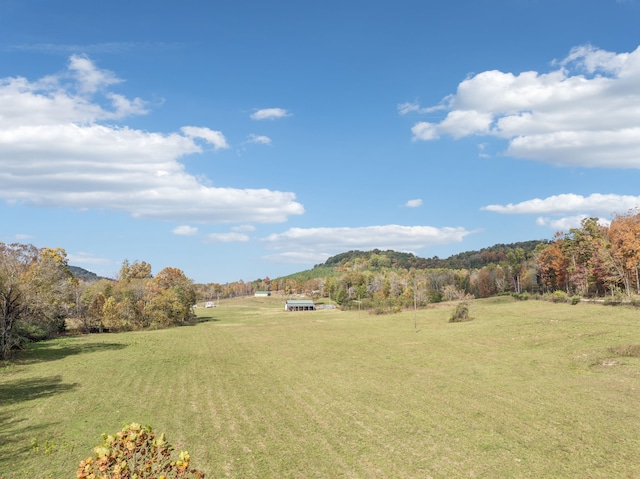 view of yard with a rural view