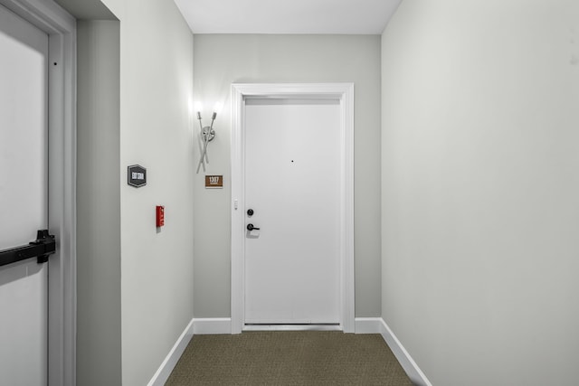 entryway featuring carpet floors